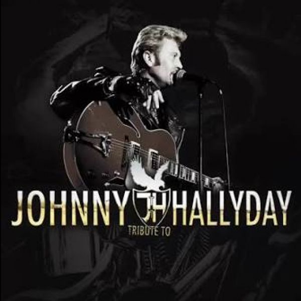 Show - Tribute à Johnny Hallyday