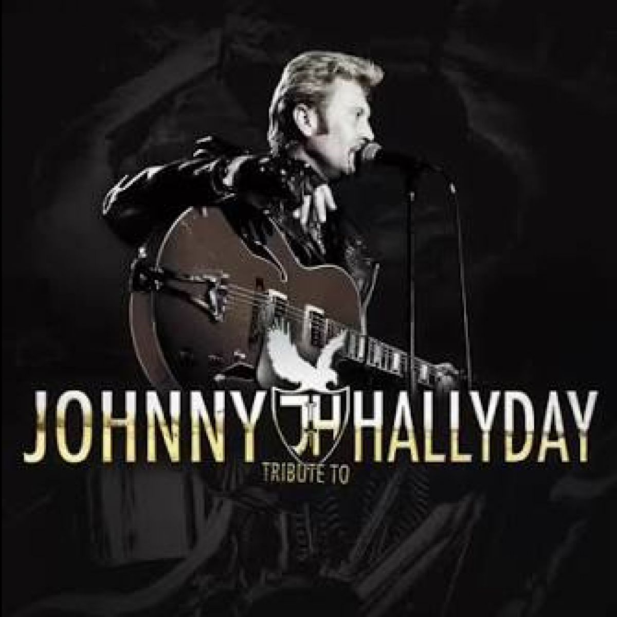 Show - Tribute à Johnny Hallyday